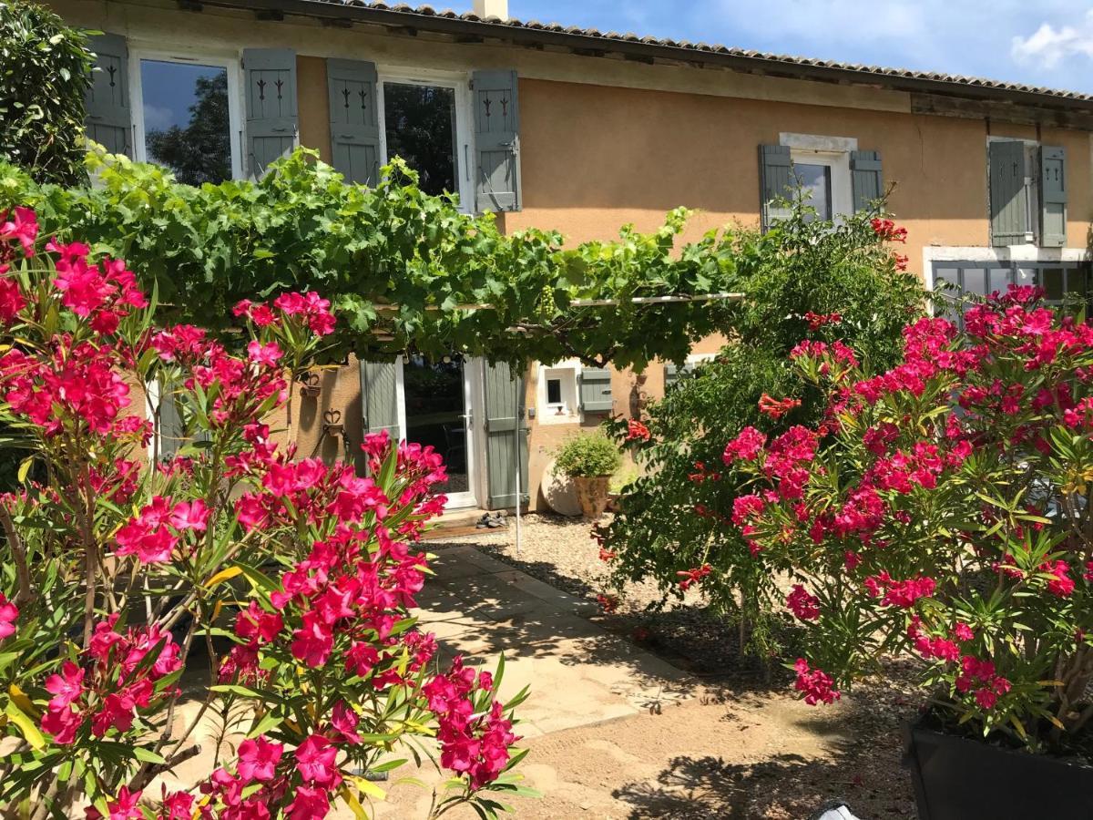 La Gatille Villié-Morgon Exterior photo